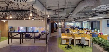 莫斯科avito.ru公司独特而舒适的办公空间设计